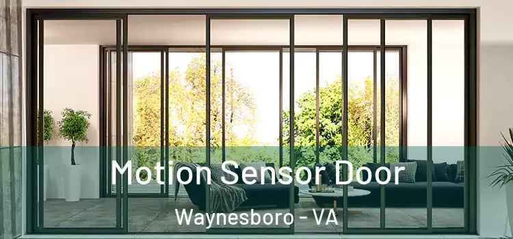 Motion Sensor Door Waynesboro - VA